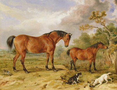 Portrett av Reformer, Blucher, Tory og Crib, eiendommen til Rowland Alston, Esq. av James Ward