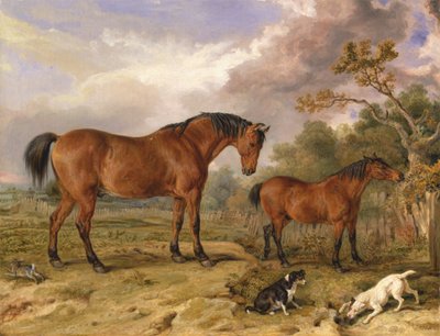 Portrett av Reformer, Blucher, Tory og Crib, eiendommen til Rowland Alston, Esq., MP [1836, Royal Academy of Arts, London, utstillingskatalog] av James Ward