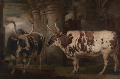 Portretter av to ekstraordinære okser, eiendommen til jarlen av Powis av James Ward