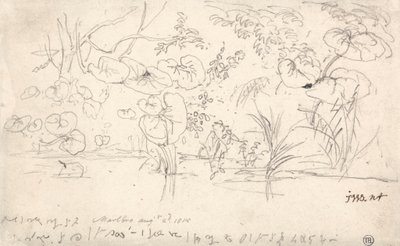 Studier av planter, 2. august 1815 av James Ward