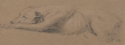 Studie av en sovende hund av James Ward