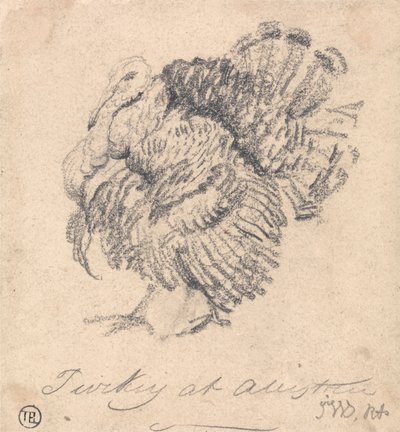 Studie av et Tyrkia av James Ward