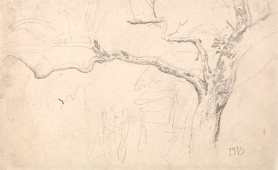 Trestudie av James Ward