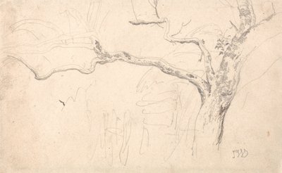 Trestudie av James Ward
