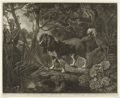 Spaniel ved vannkanten ser på anda som flyr bort av James Watson (prentmaker)