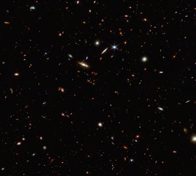 ASPIRE Cosmic Filament (NIRCam Compass Image) av James Webb Space Telescope (NASA)