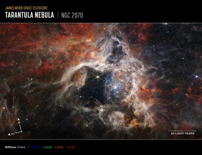 Taranteltåken (NIRCam Compass Image) av James Webb Space Telescope (NASA)