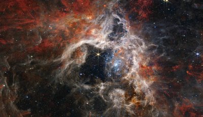 Taranteltåken (NIRCam-bilde) av James Webb Space Telescope (NASA)