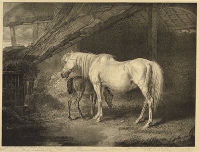 Primrose and Foal, fra Celebrated Horses, et sett med fjorten racingtrykk utgitt av kunstneren, 1823-24 av James after Ward