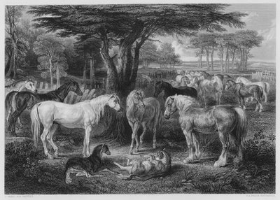 The Council of Horses, fra bildet i Vernon Gallery av James after Ward
