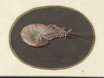 Reke Dyr (serietittel) av Jan Augustin van der Goes