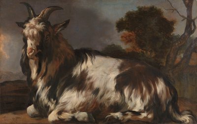 Geit liggende av Jan Baptist Weenix
