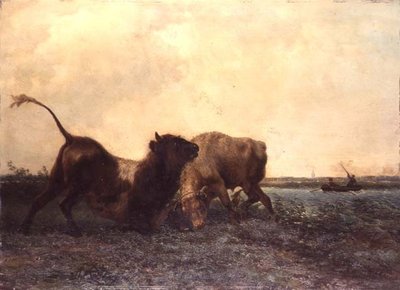 Okser som kjemper av Jan Bedys Tom