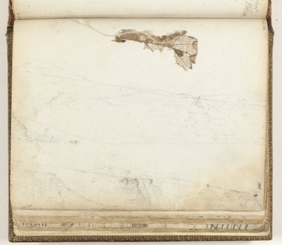 Bay Saint Helena, tørket blad av Jan Brandes