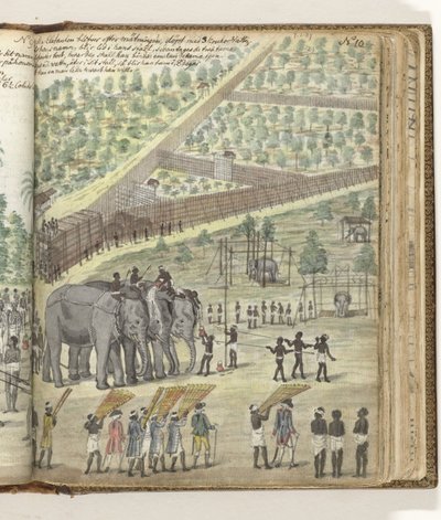 Å "døpe" en elefant av Jan Brandes