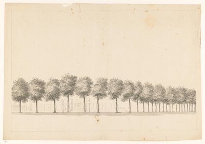 Bomenallee i Batavia av Jan Brandes