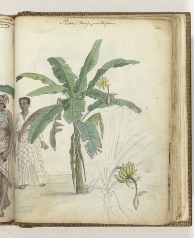 Banan tre av Jan Brandes