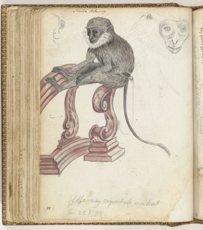 Rolleway ape av Jan Brandes