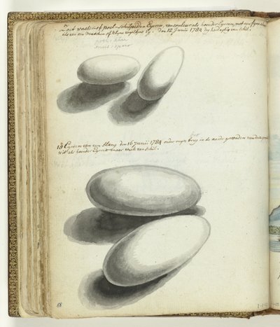 Skilpadde og slangeegg av Jan Brandes