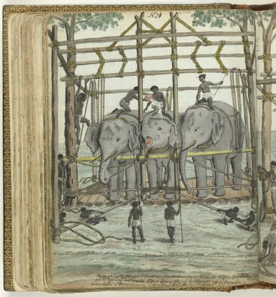 Å temme en elefant av Jan Brandes