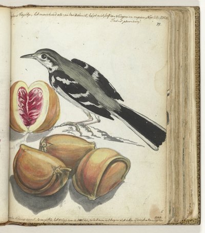 Løphale med frukt av Jan Brandes