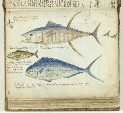 Havfiske av Jan Brandes