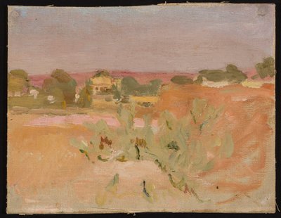Rosa Landschaft mit Kakteen. Aus einer Reise nach Indien av Jan Ciągliński
