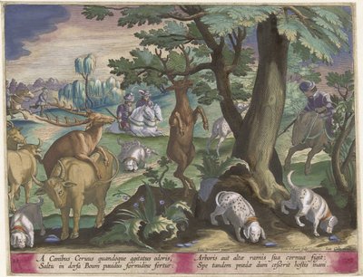 Hertenjacht met honden Jachttaferelen (serietittel) Jakten på vilt, fugl og fisk i Bestiary (serietittel) av Jan Collaert