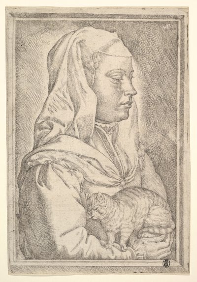 Jente med en katt, 1546. av Jan Cornelisz Vermeyen