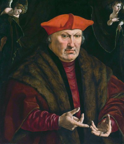  av Jan Cornelisz Vermeyen