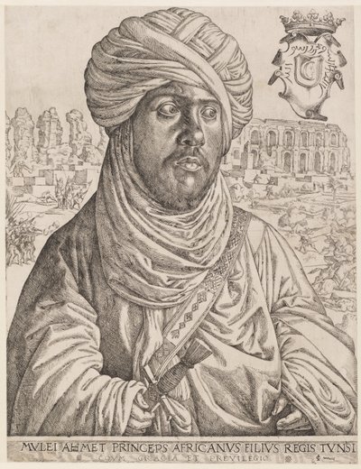  av Jan Cornelisz Vermeyen