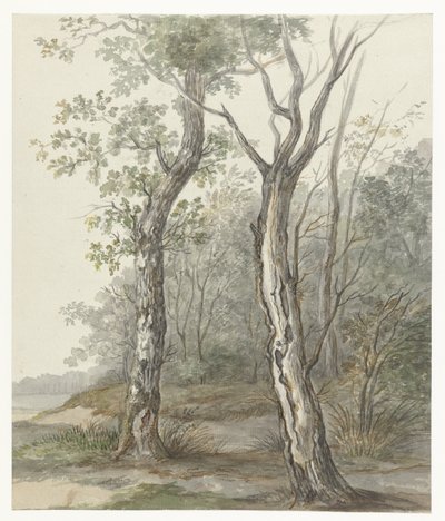 skoglandskap av Jan Dasveldt