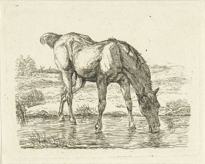 Drikkehest av Jan Dasveldt