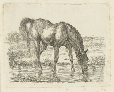 Drikkehest av Jan Dasveldt