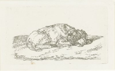 Sovende hund med hodet hvilende på forbena av Jan Dasveldt