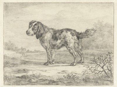 Spaniel står i et landskap av Jan Dasveldt