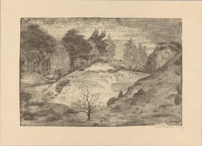 Heia ved Laren av Jan Fekkes (signed by artist)