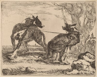 To greyhounds, i bånd og vendt mot hverandre av Jan Fyt