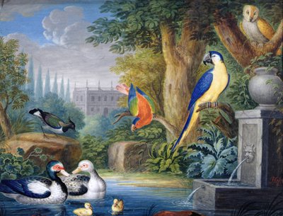 Eksotiske fugler i en prydhage, ca. 1650 (gouache på papir) av Jan Gerritsz. van Bronckhorst