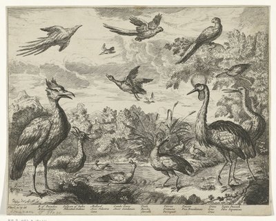 Ulike fugler i et landskap av Jan Griffier (I) (copy after)