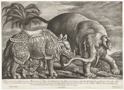 Olifant en neushoorn En sann representasjon av de to store mesterverkene i naturen, elefanten og neshornet (tittel på objektet) av Jan Griffier (I)