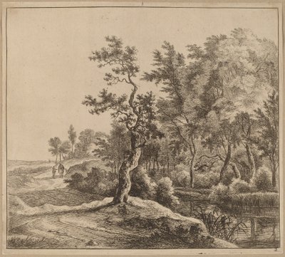 Landskap med en svingete vei av Jan Hackaert