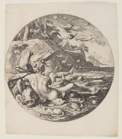 Den femte dagen, plate 6, fra Skapelsen av verden av Jan Harmensz. Muller