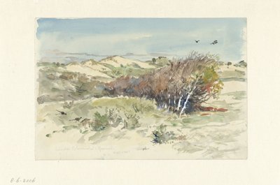 Sanddynelandskap mellom Bloemendaal og IJmuiden av Jan Hoynck van Papendrecht