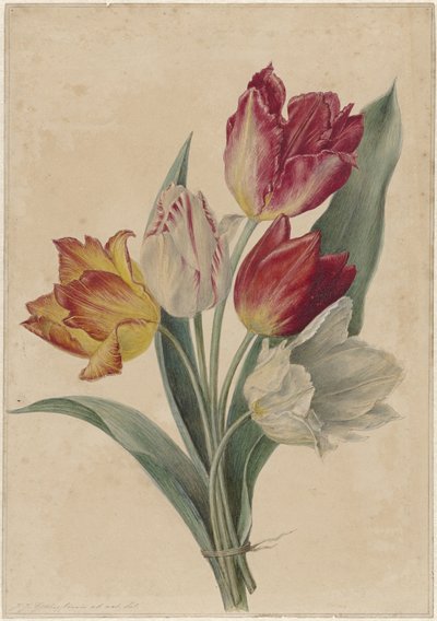 Bukett tulipaner av Jan Jacob Goteling Vinnis