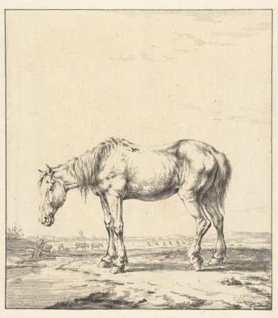 Gammel hest som står ved et vann av Jan Kobell (II)