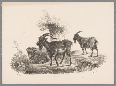 To geiter og en sau ved et tre Beesten Studien av J. Kobell etter Paul Potter Nr. 1 (serietittel) av Jan Kobell (III)