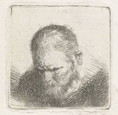 mann med skjegg av Jan Lievens (possibly)