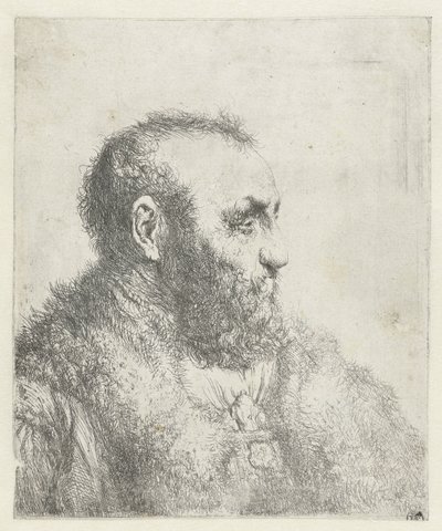Byste av en gammel mann med pels av Jan Lievens