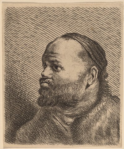 Byste av en mann med tykke lepper av Jan Lievens